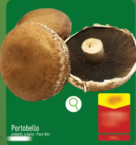 Offre: Portobello