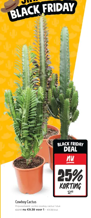 Promotie: Cowboy Cactus