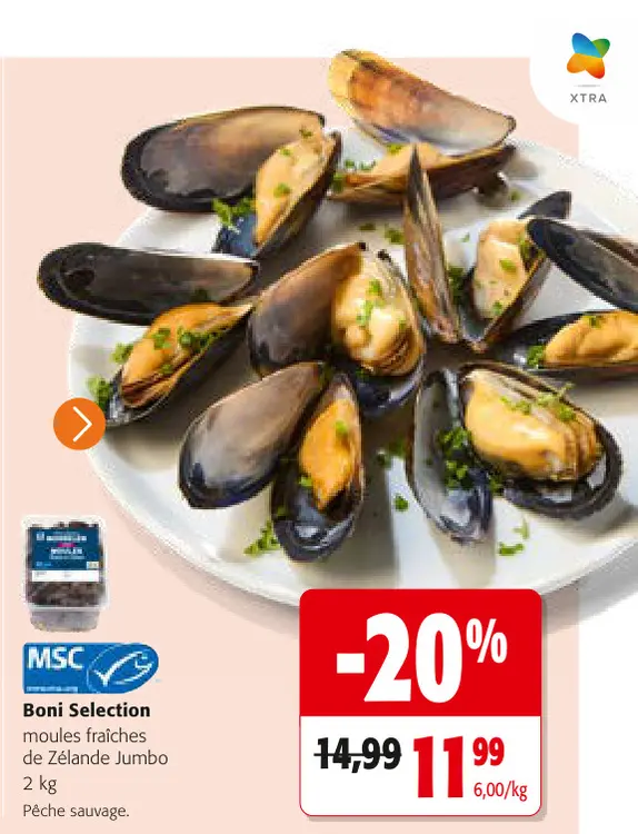 Offre: Moules fraîches de Zélande Jumbo