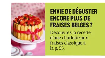 Offre: Charlotte aux fraises classique