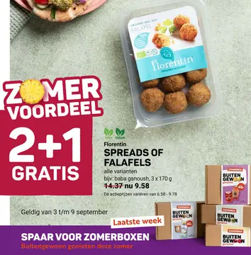 Aanbieding: SPREADS OF FALAFELS