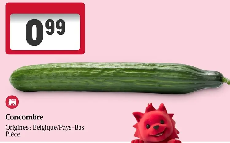 Offre: Concombre