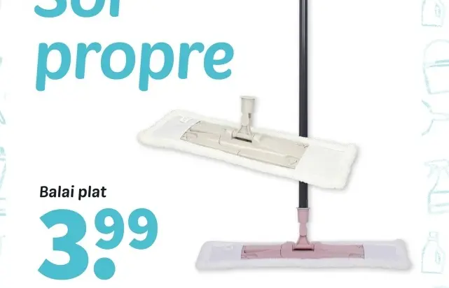 Offre: Balai plat