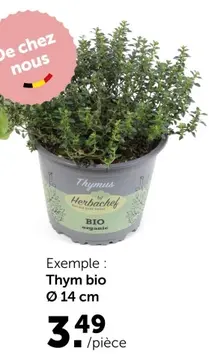Offre: Thym bio