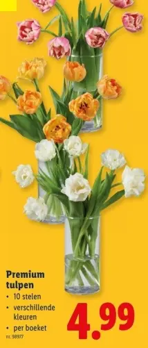 Promotie: Premium tulpen