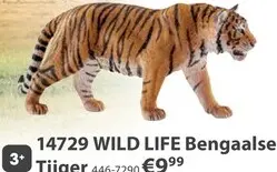 Aanbieding: Wild Life Bengaalse Tijger