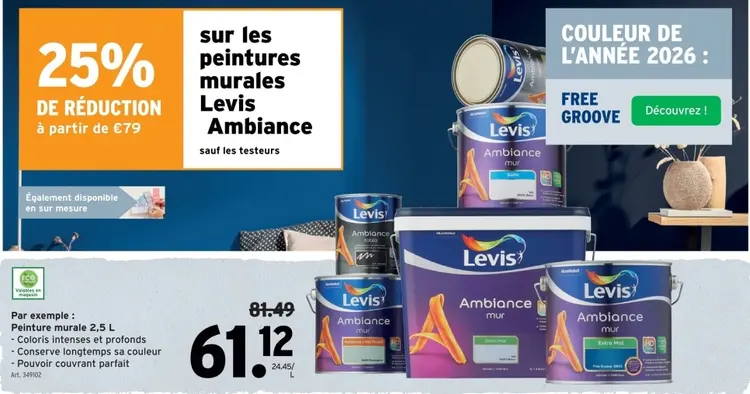 Offre: Peinture murale