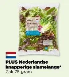Aanbieding: PLUS Nederlandse knapperige slamelange