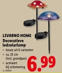 Promotie: Decoratieve ledsolarlamp