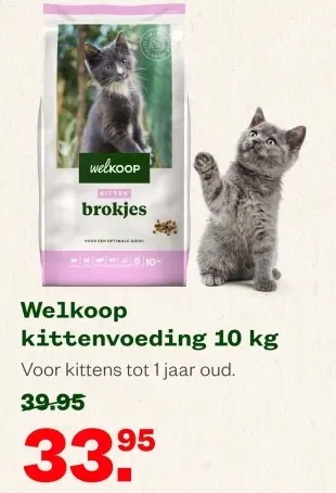 Aanbieding: kittenvoeding