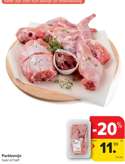 Promotie: Parkkonijn