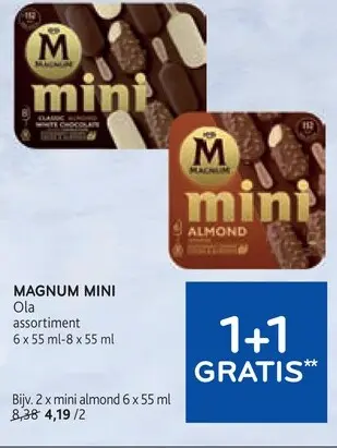 Promotie: Magnum mini