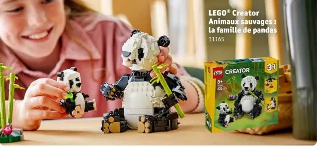 Offre: Animaux sauvages : la famille de pandas