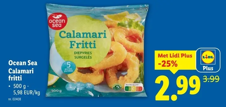 Aanbieding: Calamari fritti