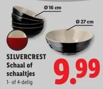 Aanbieding: Schaal of schaaltjes