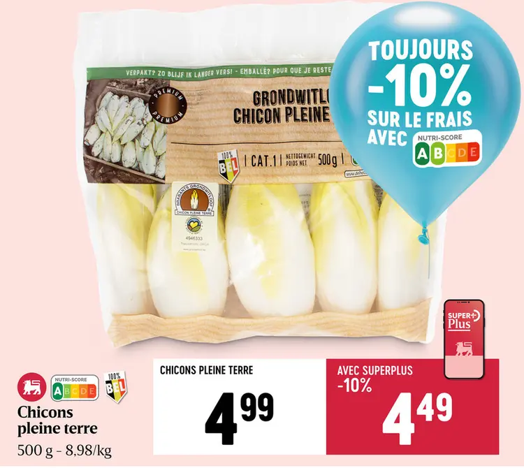 Offre: Chicons pleine terre