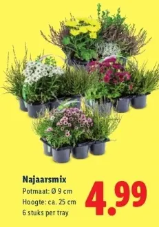Aanbieding: Najaarsmix