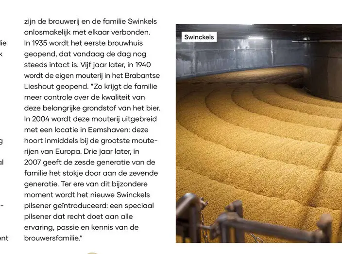 Aanbieding: pilsener