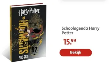 Aanbieding: Schoolagenda Harry Potter