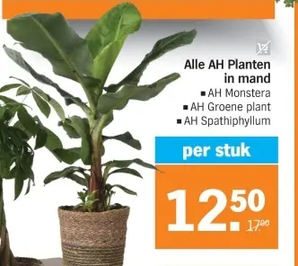 Aanbieding: AH Planten in mand