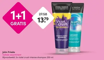Aanbieding: John Frieda Gehele assortiment