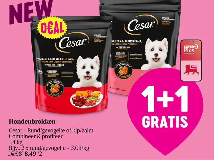 Promotie: Hondenbrokken
