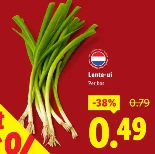 Aanbieding: Lente-ui