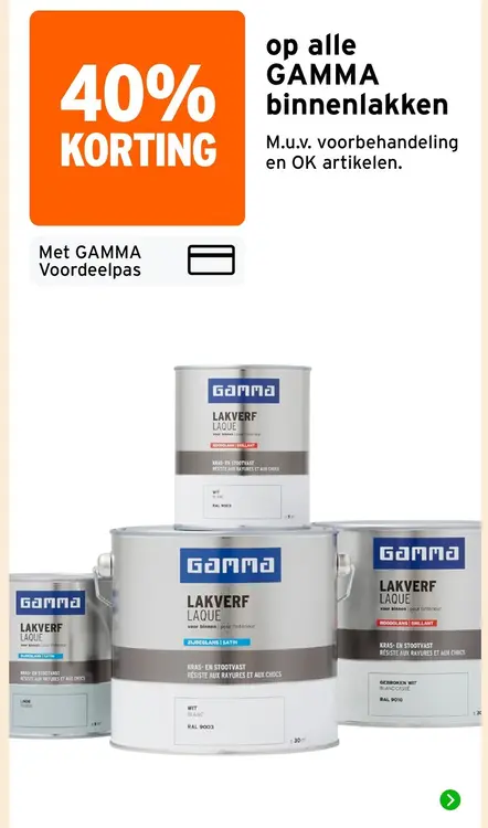 Aanbieding: Lakverf laque