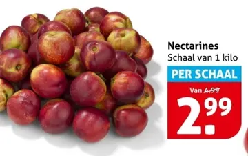 Aanbieding: Nectarines