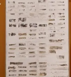 Aanbieding: Kipfilet