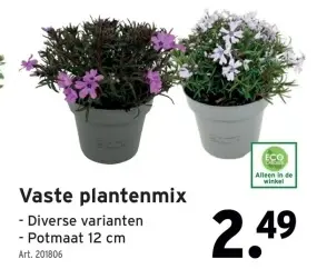 Promotie: Vaste plantenmix