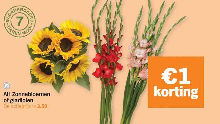 Aanbieding: Zonnebloemen of gladiolen