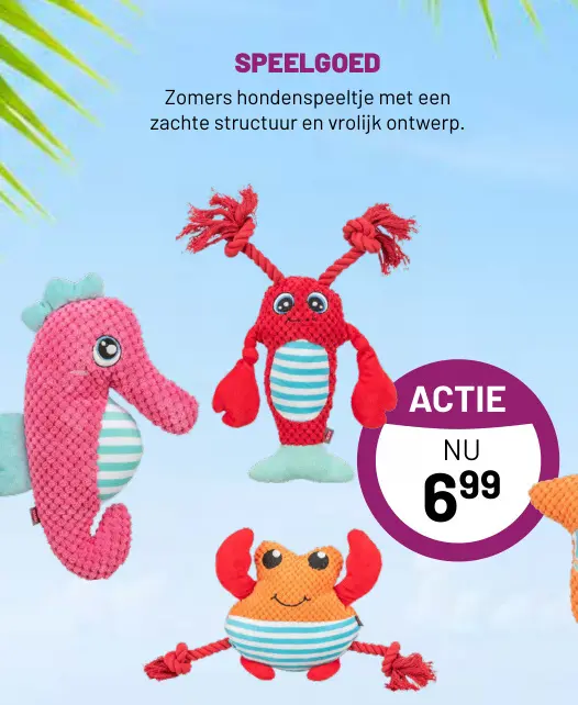 Aanbieding: Zomers hondenspeeltje