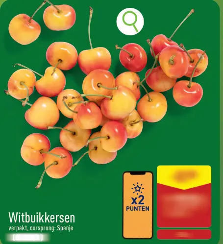 Promotie: Witbuikkersen