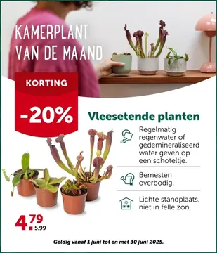 Aanbieding: Vleesetende planten mix 9cm