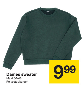 Aanbieding: Dames sweater