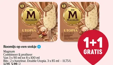 Aanbieding: Roomijs op een stokje