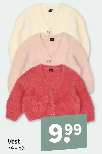Promotie: Vest