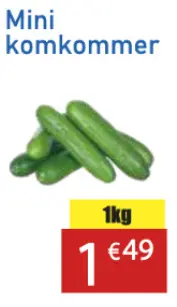 Aanbieding: Mini komkommer