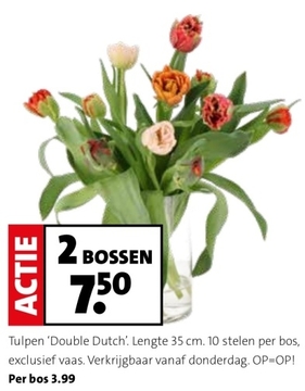 Aanbieding: Tulpen ' Double Dutch
