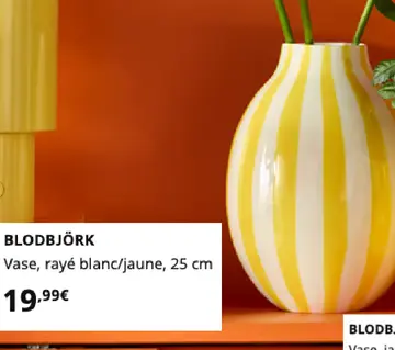 Offre: BLODBJÖRK Vase