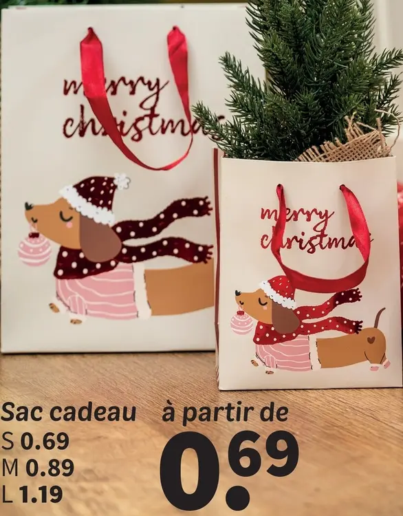 Offre: Sac cadeau