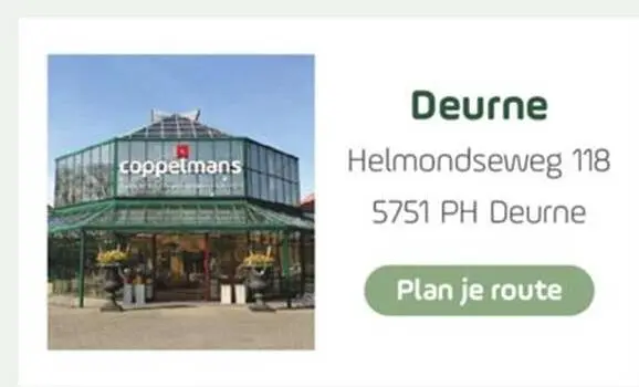 Aanbieding: Coppelmans