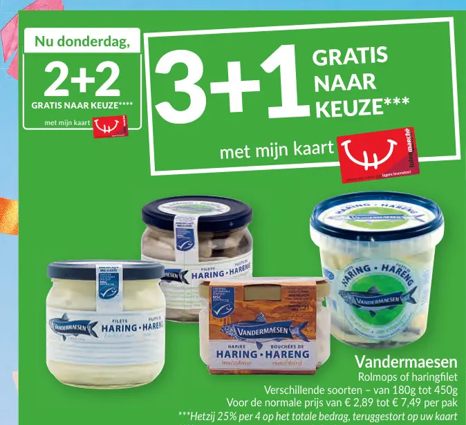 Promotie: Vandermaesen Rolmops of haringfilet