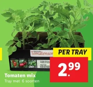 Aanbieding: Tomaten mix