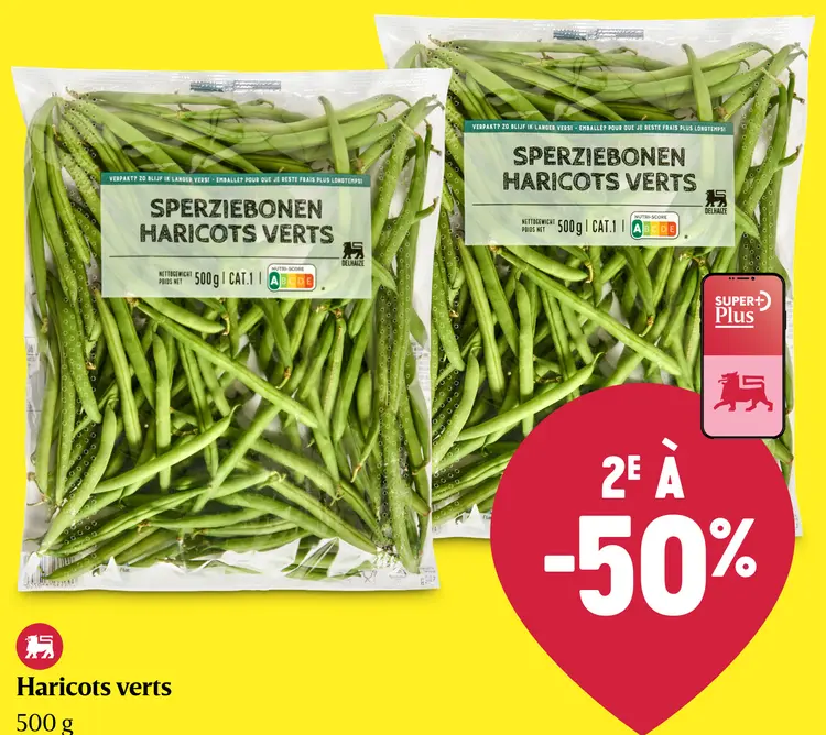 Offre: Haricots verts