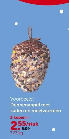 Promotie: Dennenappel met zaden en meelwormen