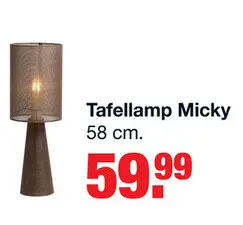 Aanbieding: Tafellamp Micky