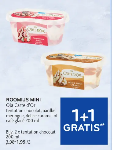 Promotie: Roomijs mini