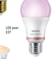 Aanbieding: LED peer E27